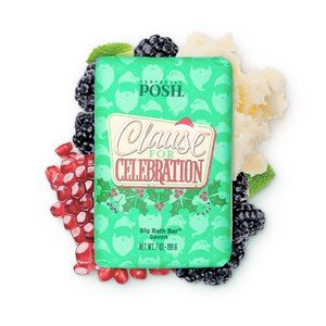 🧼 Clause for Celebration Chunk Big Bath Bar 🧼